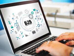 типы b2b порталов